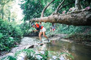 BIB: 
                            <button type="button" onclick="openModal(25435160)" class="btn btn-primary btn-sm float-right btn-popup" data-toggle="modal" data-target=".modal-high-quality">
                        <i class="fas fa-shopping-cart"></i> Add to Cart
                    </button>
                                            <button type="button" onclick="isThisMe(25435160, true)" class="btn btn-success btn-sm float-right btn-popup btn-isme hidden" data-toggle="tooltip" data-placement="bottom" title="นี่คือรูปของคุณใช่ไหม คลิกที่นี่เพื่อเอาเข้าอัลบั้ม">
                        <i class="fas fa-plus"></i> Add to album
                    </button>
                    <button type="button" onclick="isThisMe(25435160, false)" class="btn btn-warning btn-sm float-right btn-popup btn-isnotme hidden">
                        <i class="fas fa-ban"></i> Remove from album
                    </button>